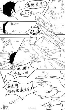 安哥是鹦鹉那雷狮不应该是大猫猫么