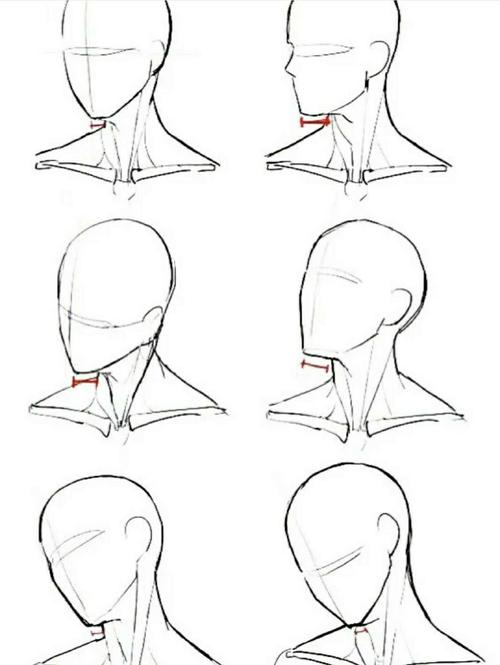 【绘画素材】7315各个角度头的画法93_绘画_素材_教程_文化