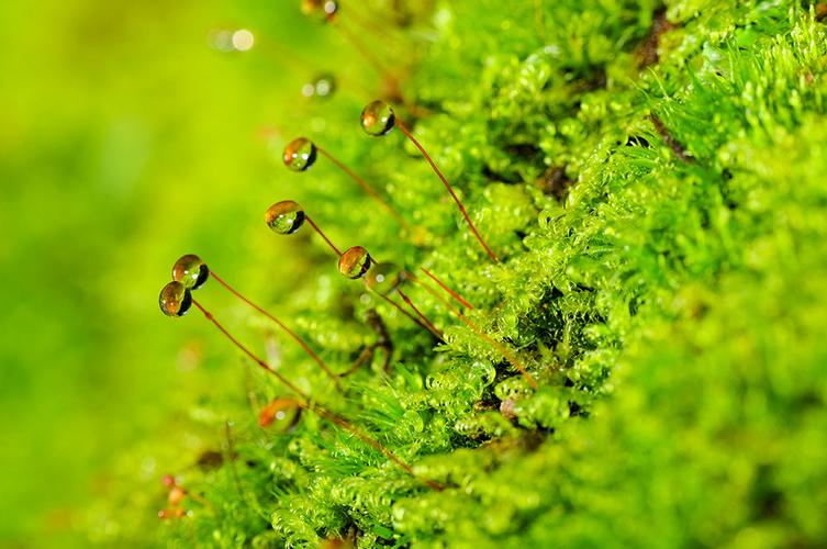 7月刊微观世界主题月赛