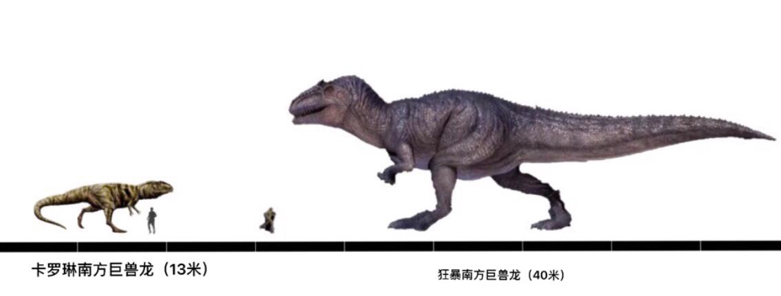 首先,方舟南方巨兽龙的体型明显卫星了,经我测量,体长在40米左右.