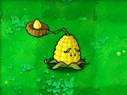 35,kernel-pult玉米投手