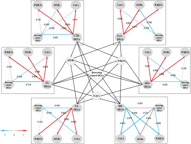 the partial least squares structural equation modeling (pls-sem)