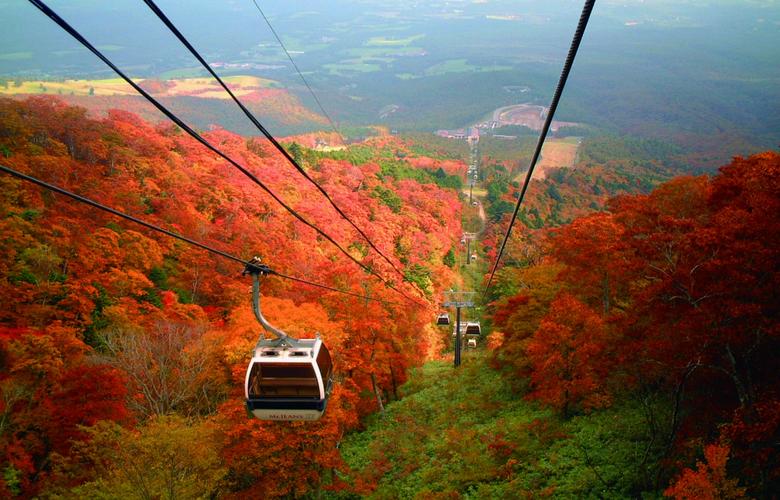 秋日浪漫之栃木县篇