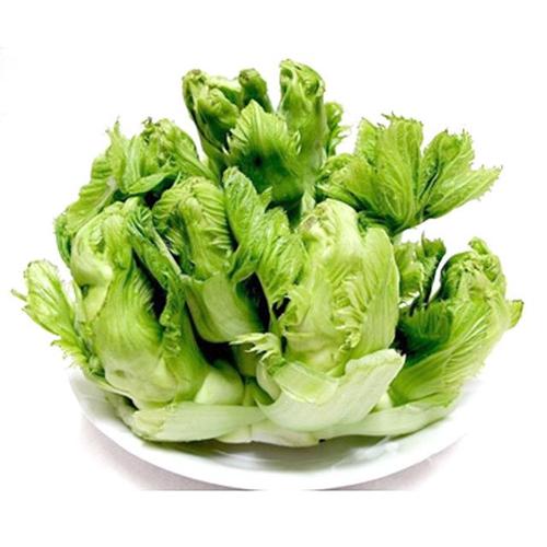 儿菜你们认识吗