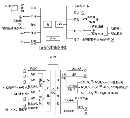 19版高考生物一轮复习第3单元光合作用和细胞呼吸单元