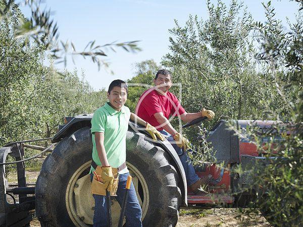 父子,姿势,拖拉机