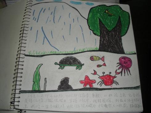 《犟龟》学生绘本作品