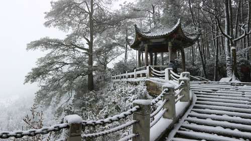 金城山森林公园