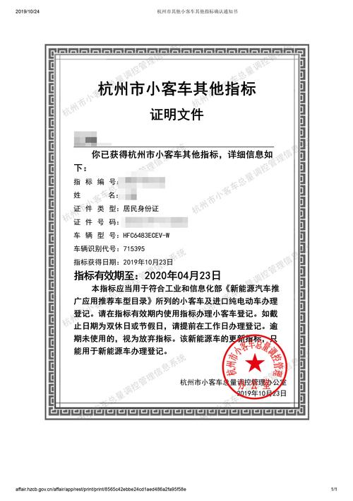 个人新能源类小客车其他指标配置