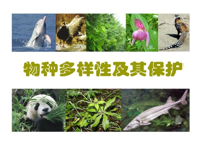 保护生物学 06物种多样性及保护.ppt 48页