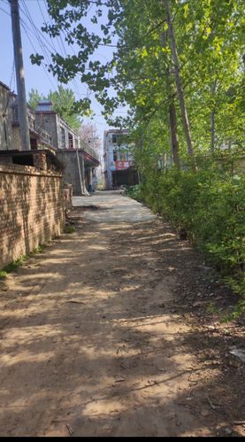 大董地名网_河南省周口市鹿邑县贾滩镇大董资料简介