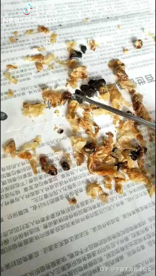 我又来更新了 我要收集直到发现最大最大最大的耳屎 ? !