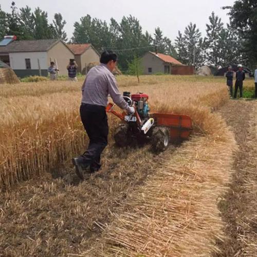 大豆小麦割倒机小型麦子收割机