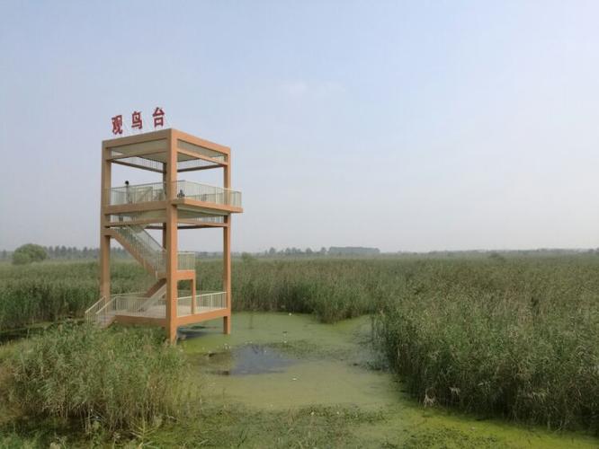 三汊河湿地公园印象