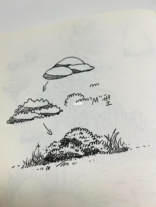 速写分享一下拿起笔就会画系列|灌木丛画法_速写_钢笔