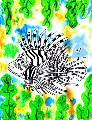 师院附小美术课堂(十六)线描狮子鱼