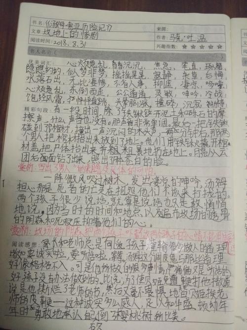 705班《汤姆,索亚历险记》读书笔记