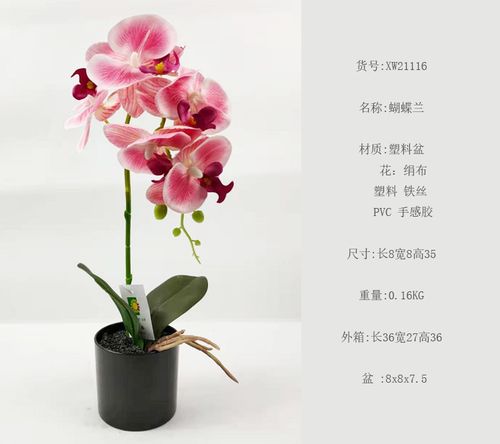 手感蝴蝶兰盆栽粉色带花蕊两叶落地摆台一支杆客厅装饰摆花