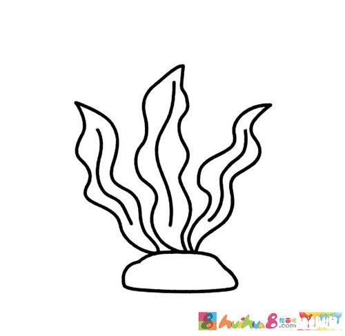 水草简笔画图片怎么画简笔画教程_绘画吧-画画