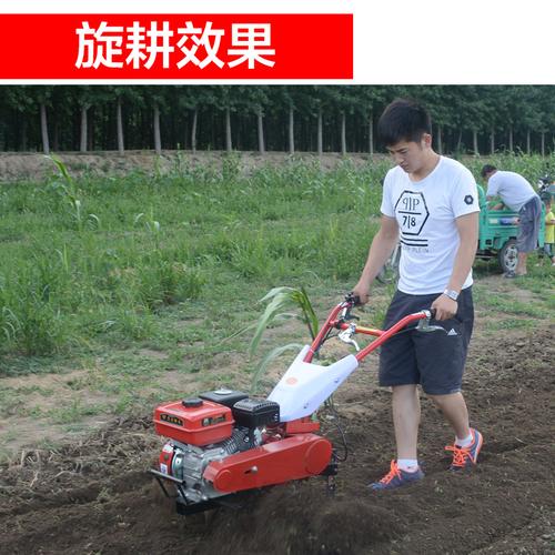 迪力斯多功能微耕机果园松土除草机小型松土机旋耕机耕地机翻地机