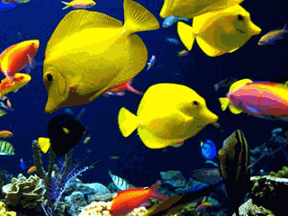 大海,什么都有 这句话曾一度风靡贵州,成了对贵州旅游最生动的解读