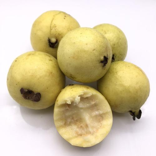 云南腾冲特产水果野生芭乐5斤包邮手机保护套