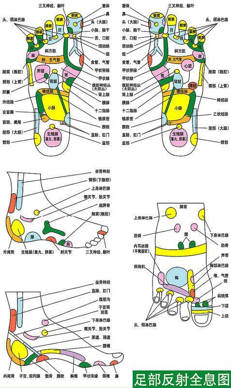 人体足部反射全息图