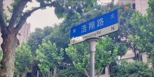 北京有嘉祺路 长沙有文轩路 上海有浩翔路_时代少年团_文轩_tnt时代