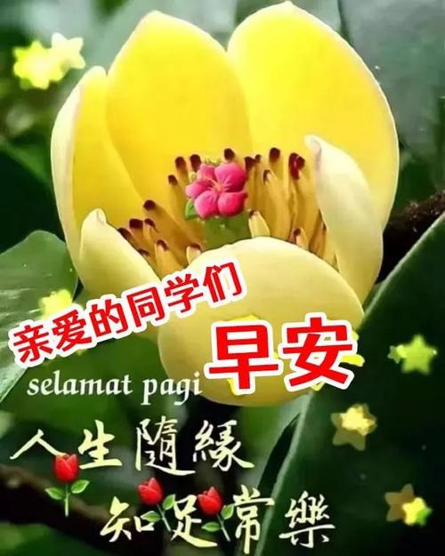 早上好问候祝福图片 好看的老同学早上好问候祝福表情