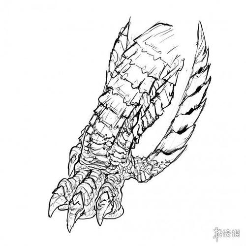 《怪猎崛起》新设计图:小吃抱怨河蛙虎龙设计草图