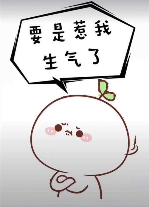 抖音你千万不要惹我 生气表情包