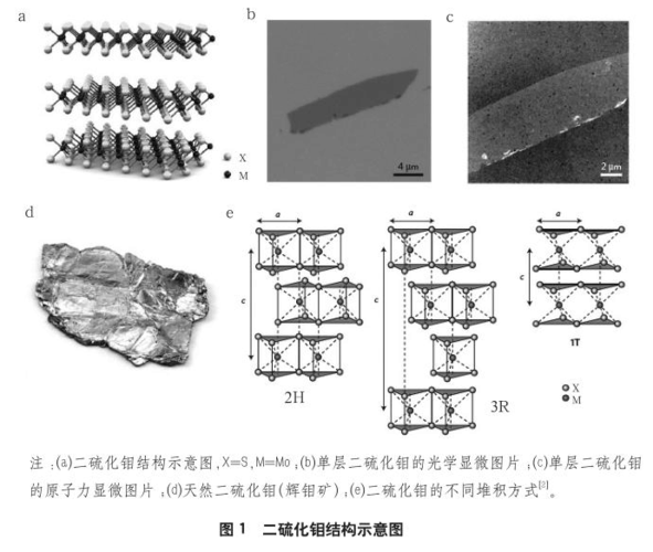 二硫化钼二维材料的研究与应用进展