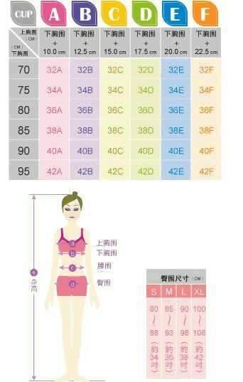 胸围是怎么算的?像36a是怎么来的?