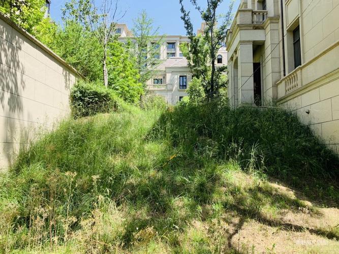新出房源郑东新区独栋别墅院子350平直降200万急卖