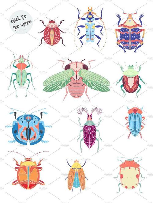 甲虫水彩画素材 set of beautiful vector beetles #1903394-设计元素