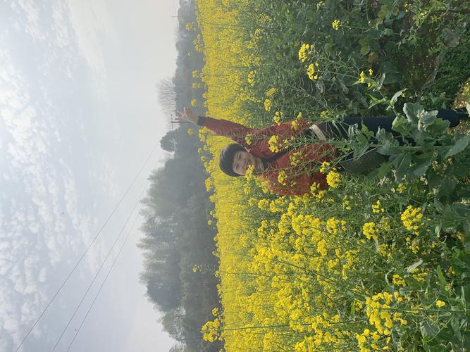 把春天带回家