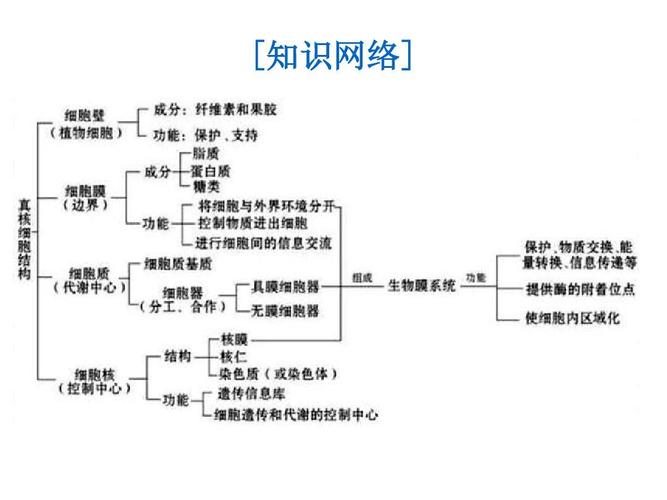 2.1 细胞膜与细胞核(人教版)答案ppt