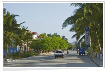 黎安镇-陵水县人民政府网