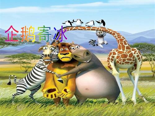 企鹅寄冰