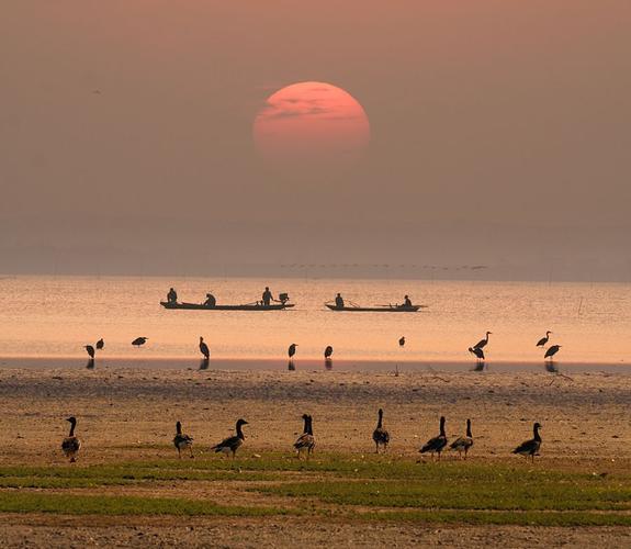 江西都昌鄱阳湖湿地风光美