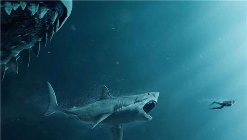 什么鲨鱼能把龙王鲸吃掉? 世界上唯一能匹敌的是巨齿鲨