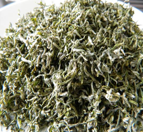 供应2014年蒙顶甘露新茶叶 明前优质蒙顶甘露 四川新茶 散装批发