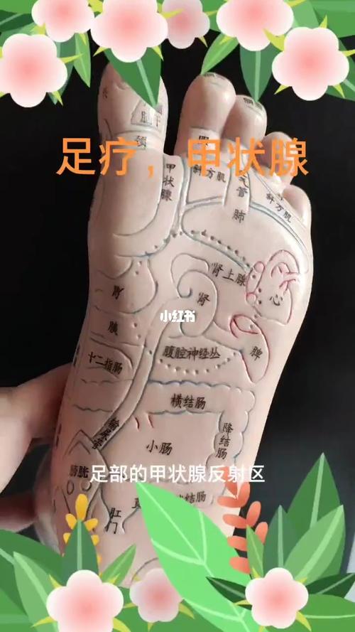 按该反射区可用于甲亢,甲减,甲状腺炎,甲状腺肿大等