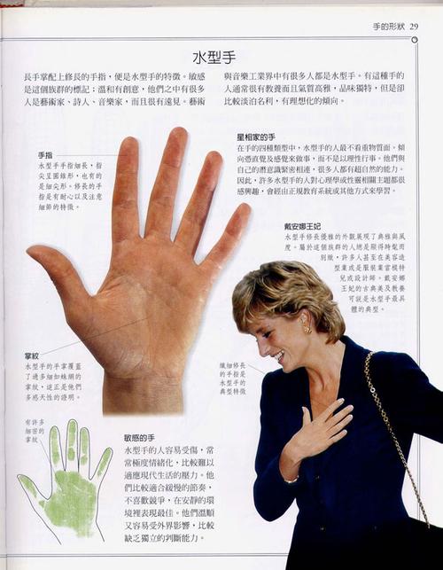 手相学习百科手的形状