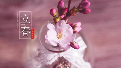 立春中国传统二十四节气知识介绍ppt.pptx 18页