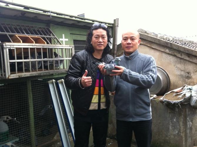 包坚信访问温州乐清信鸽专家聋人郑胜勤的成功事迹
