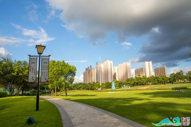 我要去博罗滨江公园大草坪上尽情狂奔打滚撒野