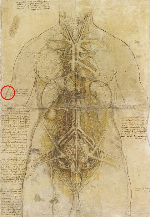 文艺复兴时期达芬奇手抄报手抄报版面设计图