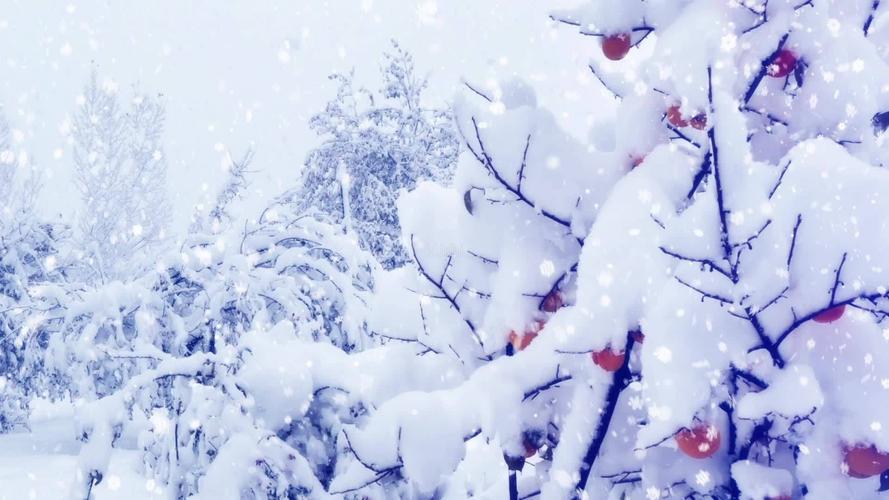 雪落下的声音配乐背景_1920x1080_高清视频素材下载