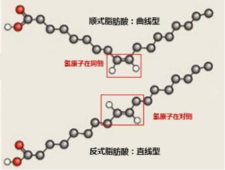 饱和脂肪酸,不饱和脂肪酸,反式脂肪酸到底该如何识别?